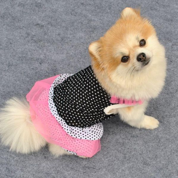 dog apparel spring and summer leisure styles pet clothing comfortable breathable wave point elastic cake skirt bichon small
dog apparel spring and summer leisure styles pet clothing comfortable breathable wave point elastic cake skirt bichon small