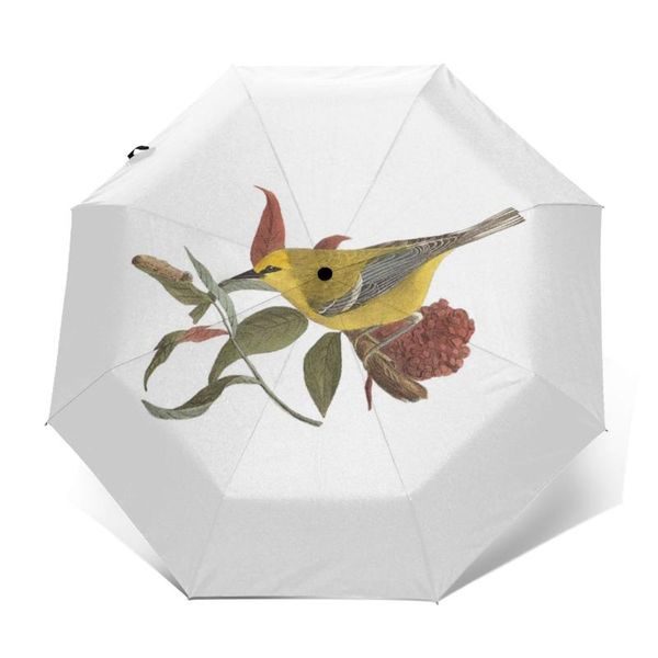 umbrellas wings umbrella automatic wind proof unique design rain folding
umbrellas wings umbrella automatic wind proof unique design rain folding