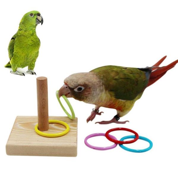 other bird supplies pet parrot wooden platform plastic ring intelligence training chew puzzle toy products development
other bird supplies pet parrot wooden platform plastic ring intelligence training chew puzzle toy products development
