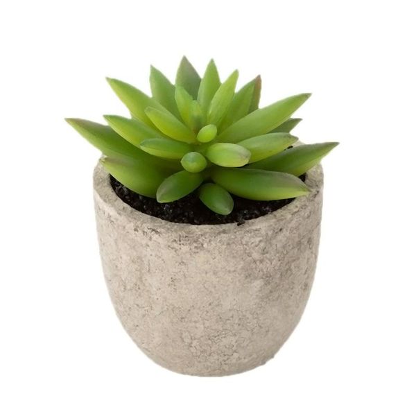 zhi jiang pen small number succulent lotus potted plant decoration creative artificial succulent pant plant pots succu
zhi jiang pen small number succulent lotus potted plant decoration creative artificial succulent pant plant pots succu