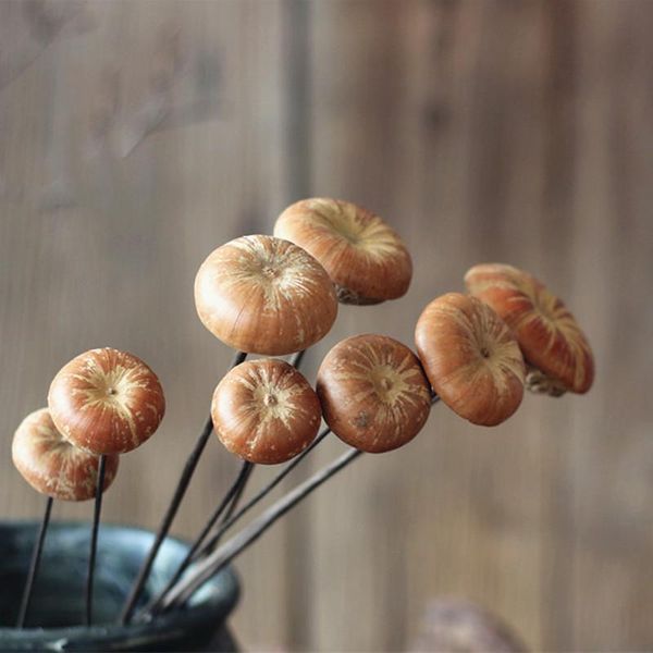 decorative flowers & wreaths natural mushroom handmade plants immortal bouquet diy material dried fruits art home decor shooting props ornam
decorative flowers & wreaths natural mushroom handmade plants immortal bouquet diy material dried fruits art home decor shooting props ornam