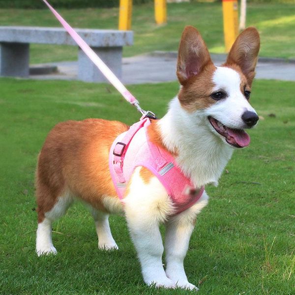 pet dogs new vest style with reflective traction chest back rope strap sling collars
pet dogs new vest style with reflective traction chest back rope strap sling collars