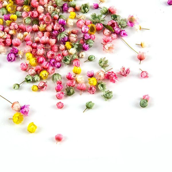 decorative flowers & wreaths 60pcs real dried diy art epoxy resin candle jewellery filler accessories
decorative flowers & wreaths 60pcs real dried diy art epoxy resin candle jewellery filler accessories