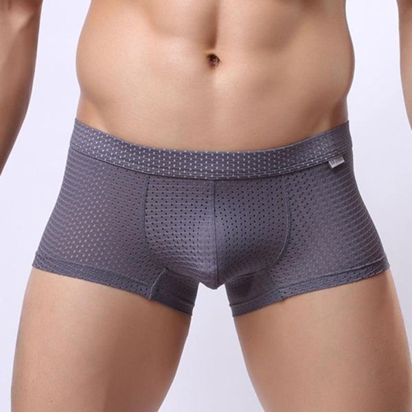 Underpants Men Sexy Mesh Boxers Brief Man Bulge Pouch Panties Solid Breathable Boxer Hole Underwear Shorts, Black;white
Underpants Men Sexy Mesh Boxers Brief Man Bulge Pouch Panties Solid Breathable Boxer Hole Underwear Shorts, Black;white