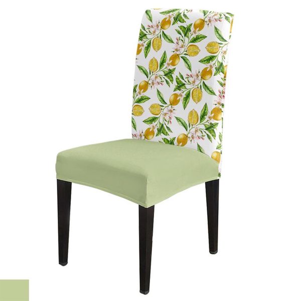 chair covers texture watercolor art dining room spandex elastic for wedding el banquet
chair covers texture watercolor art dining room spandex elastic for wedding el banquet
