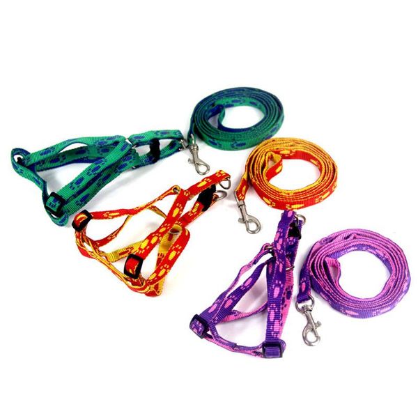 dog collars & leashes adjustable print rope small pet cat lead leash harness chest strap pets porducts multiple
dog collars & leashes adjustable print rope small pet cat lead leash harness chest strap pets porducts multiple