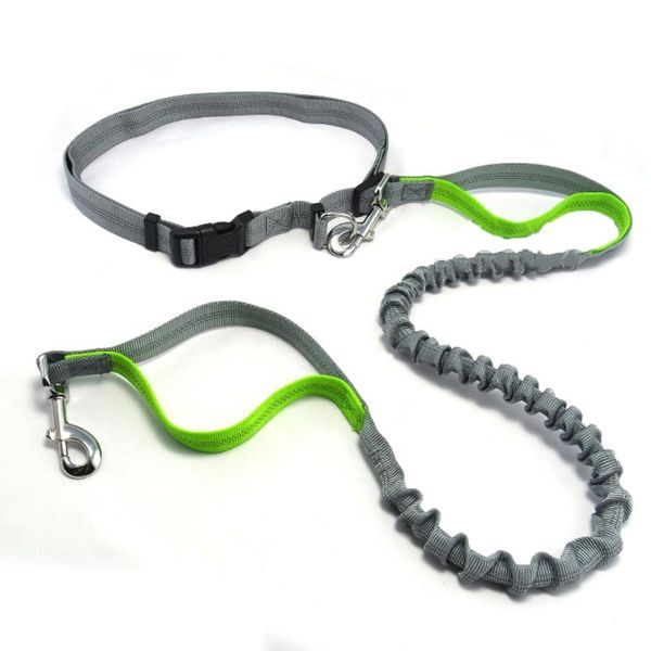 dog collars & leashes nylon leash high elasticity and quality hands durable for small medium large dogs pet supplies
dog collars & leashes nylon leash high elasticity and quality hands durable for small medium large dogs pet supplies