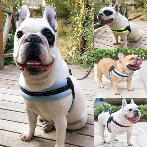 dog collars & leashes pet night safety reflective traction rope chest strap leash set adjustable comfort vest fashion l0516
dog collars & leashes pet night safety reflective traction rope chest strap leash set adjustable comfort vest fashion l0516