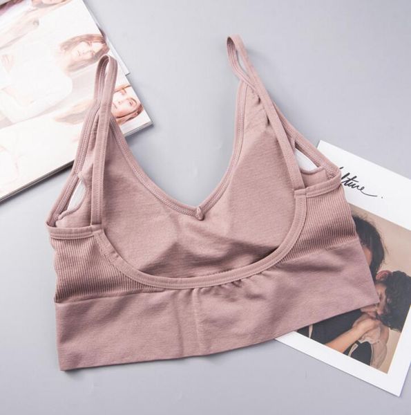 gym clothing summer no rims moisture wicking shockproof crop women fitness sports bra, White;black
gym clothing summer no rims moisture wicking shockproof crop women fitness sports bra, White;black