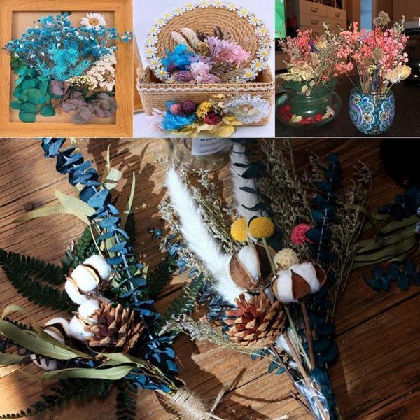 decorative flowers & wreaths 1 bag real mix dried for resin jewellery dry craft po making pressed diy frame accessories plants c6q5
decorative flowers & wreaths 1 bag real mix dried for resin jewellery dry craft po making pressed diy frame accessories plants c6q5