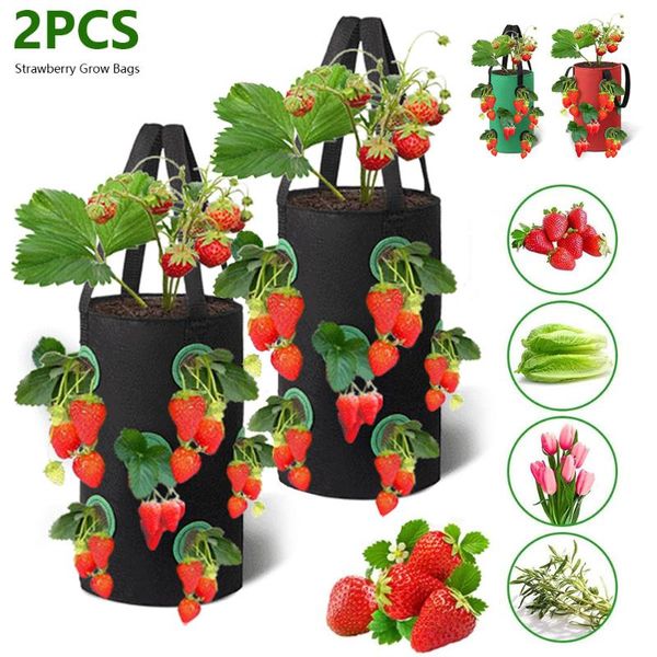 planters & pots 2pcs strawberry grow bags vertical flower pouch reusable planter box 3 gallons 12 hole non woven plant basket planting pot
planters & pots 2pcs strawberry grow bags vertical flower pouch reusable planter box 3 gallons 12 hole non woven plant basket planting pot