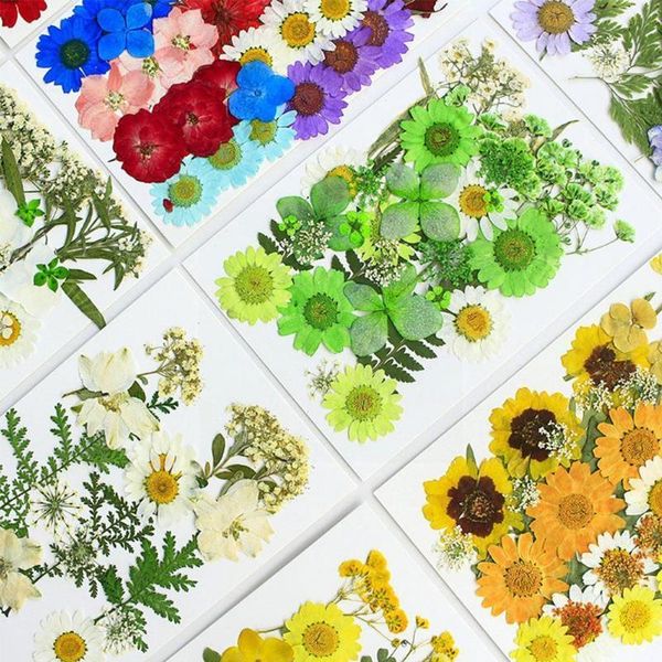 decorative flowers & wreaths real dried flower natural dry plants nail art decorate accessories diy making epoxy necklace resin candle craft
decorative flowers & wreaths real dried flower natural dry plants nail art decorate accessories diy making epoxy necklace resin candle craft