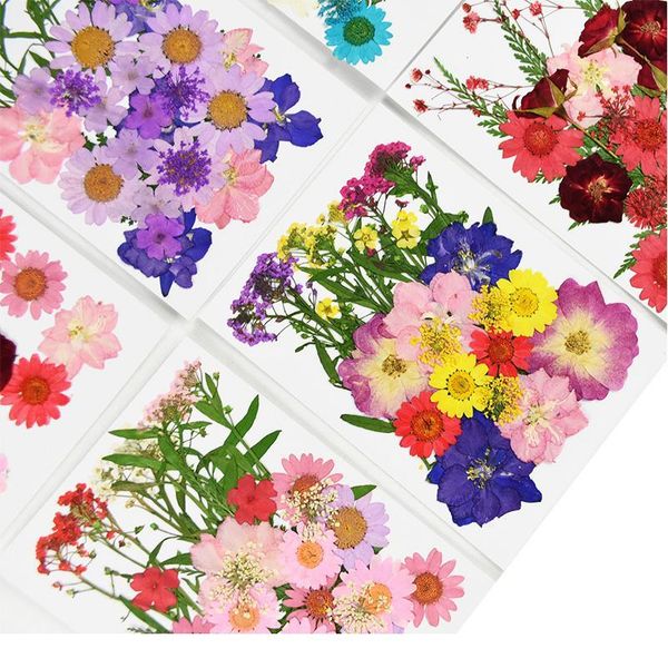 small dried flowers pressed flower diy scrapbooking preserved flower for home wedding party decoration mini bloemen flor jllftr
small dried flowers pressed flower diy scrapbooking preserved flower for home wedding party decoration mini bloemen flor jllftr
