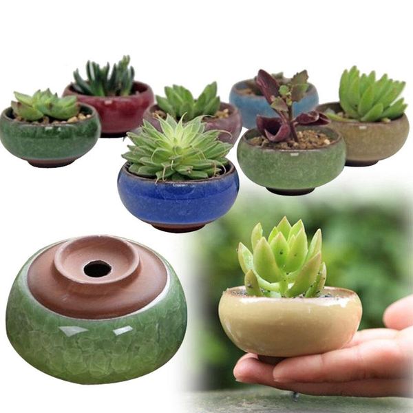 planters & pots 1piece ice-crack ceramic flower for juicy plants small bonsai pot home garden deskdecorations succulent plant
planters & pots 1piece ice-crack ceramic flower for juicy plants small bonsai pot home garden deskdecorations succulent plant