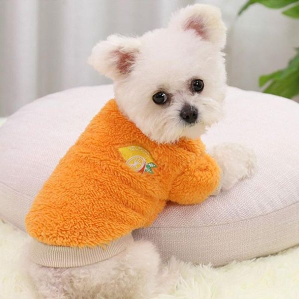 dog apparel pet products warm multi-size autumn and winter small sweater two-legged clothes cute
dog apparel pet products warm multi-size autumn and winter small sweater two-legged clothes cute