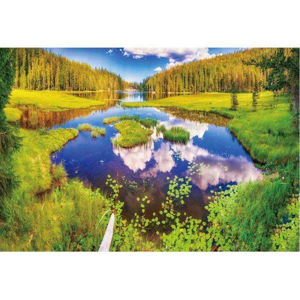 party decoration natural scenery backdrop forest lake landscape pography background decor born wedding po booth prop
party decoration natural scenery backdrop forest lake landscape pography background decor born wedding po booth prop