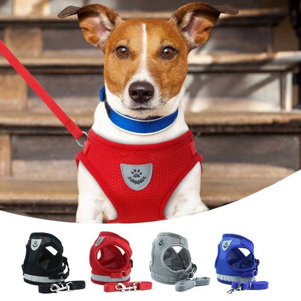 dog collars & leashes harness and leash set mesh puppy cat harnesses vest reflective walking lead for chihuahua pug small medium nylon solid
dog collars & leashes harness and leash set mesh puppy cat harnesses vest reflective walking lead for chihuahua pug small medium nylon solid