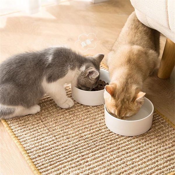 cat toys scratching board sisal mat anti-scratch sofa protection large claw sharpener is resistant to litter
cat toys scratching board sisal mat anti-scratch sofa protection large claw sharpener is resistant to litter
