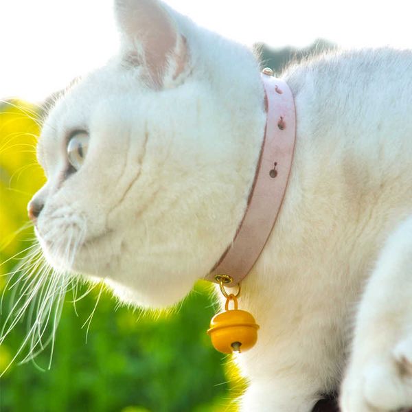 factory leather cat collar anti lost lettering pet handmade bell small dog super soft
factory leather cat collar anti lost lettering pet handmade bell small dog super soft