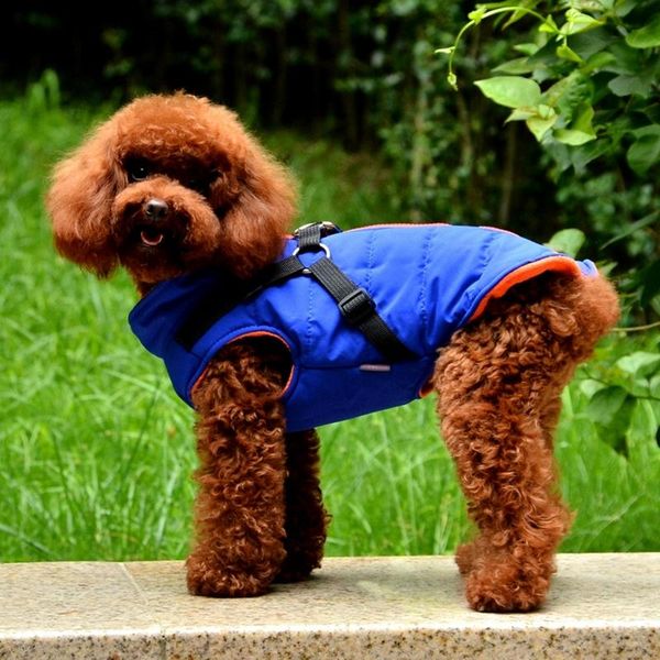 dog apparel pet cotton clothes with leash harness for small medium dogs zipper design autumn winter costume thicken warm puppy garment
dog apparel pet cotton clothes with leash harness for small medium dogs zipper design autumn winter costume thicken warm puppy garment