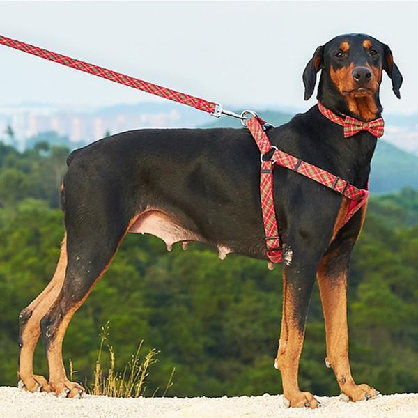 dog collars & leashes 4 colors plaid puppy big harness and collar walking pet for small dogs pets accessories leash perros productos
dog collars & leashes 4 colors plaid puppy big harness and collar walking pet for small dogs pets accessories leash perros productos