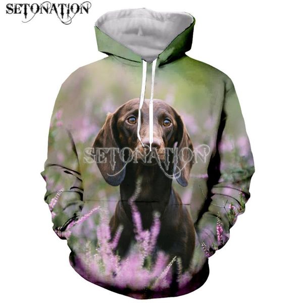 men's hoodies & sweatshirts dachshund funny fashion long sleeves 3d print zipper/hoodies/sweatshirts/jacket/men/women drop, Black
men's hoodies & sweatshirts dachshund funny fashion long sleeves 3d print zipper/hoodies/sweatshirts/jacket/men/women drop, Black