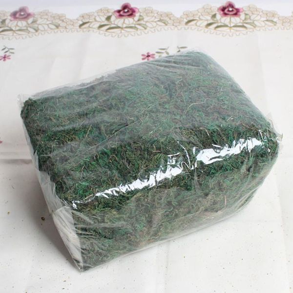 decorative flowers & wreaths artificial moss lichen simulation fake green plants grass miniature ornament garden lawn micro landscape 
decorative flowers & wreaths artificial moss lichen simulation fake green plants grass miniature ornament garden lawn micro landscape