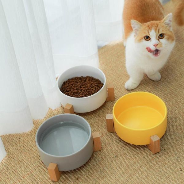 ceramic anti-slip pet bowl for dogs pet bowls cat dog feeder with wood stand cat dog bowl supplies
ceramic anti-slip pet bowl for dogs pet bowls cat dog feeder with wood stand cat dog bowl supplies