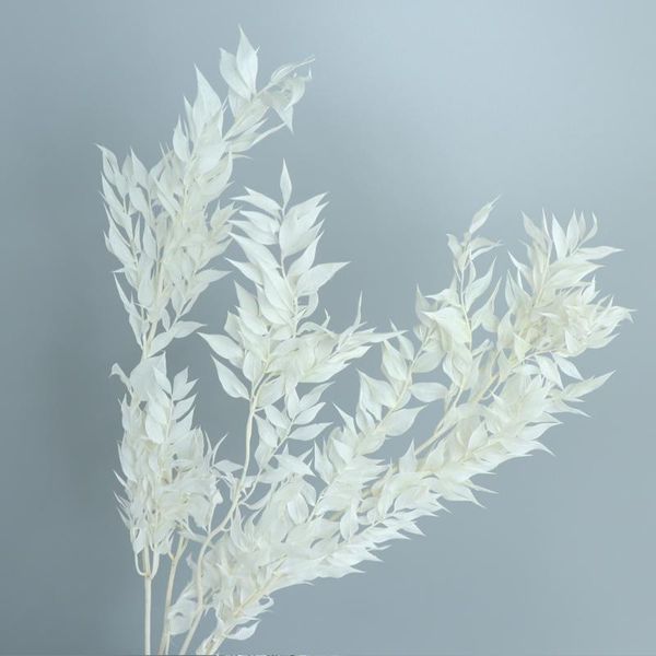 decorative flowers & wreaths level selling really true dracaena sanderiana leaves ruscus decoration everlasting flower ornaments for hom
decorative flowers & wreaths level selling really true dracaena sanderiana leaves ruscus decoration everlasting flower ornaments for hom