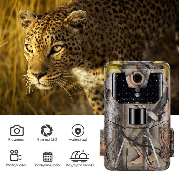 wifi900 live show hunting camera remote app control tracking cd 1080p 20mp wifi bluetooth cameras night vision hd surveillance
wifi900 live show hunting camera remote app control tracking cd 1080p 20mp wifi bluetooth cameras night vision hd surveillance
