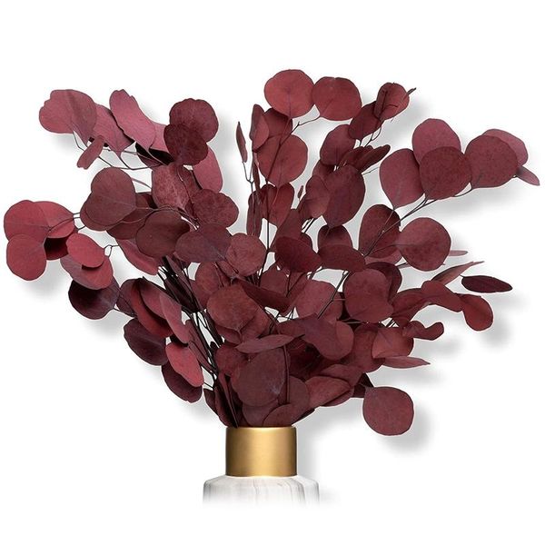 decorative flowers & wreaths eucalyptus as dried an eye-catcher, forever durable for decoration
decorative flowers & wreaths eucalyptus as dried an eye-catcher, forever durable for decoration