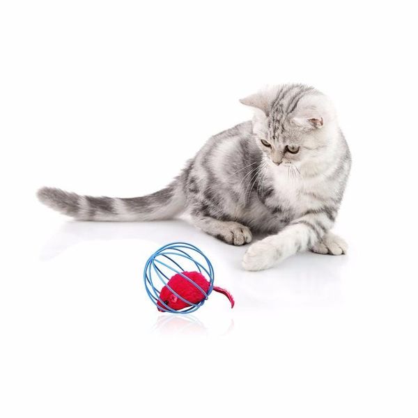 6.5cm popular pet cat toy toys lovely kitten gift funny play toys mouse ball for cats dogs play
6.5cm popular pet cat toy toys lovely kitten gift funny play toys mouse ball for cats dogs play