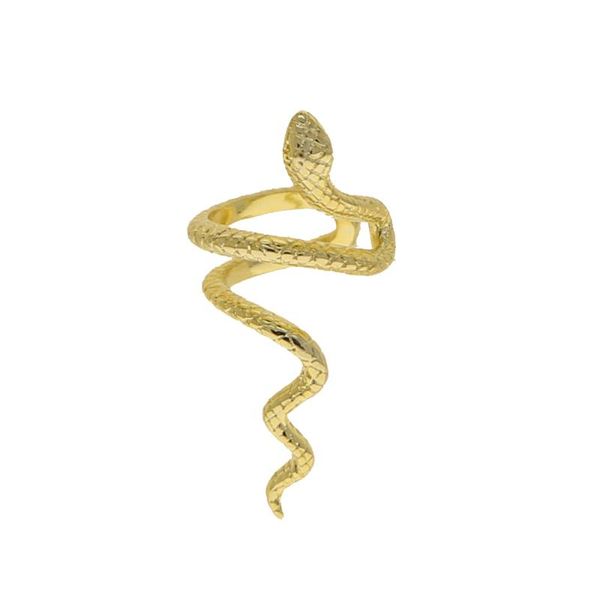 dangle & chandelier 2021punk long snake clip-on earrings gold color personality stud earring for women vintage animal brincos female fashion, Silver
dangle & chandelier 2021punk long snake clip-on earrings gold color personality stud earring for women vintage animal brincos female fashion, Silver
