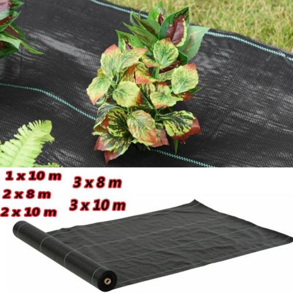 shade heavy-duty control fabric gardening vegetable shed orchard breathable filter grass-proof cloth landscape ground cover film
shade heavy-duty control fabric gardening vegetable shed orchard breathable filter grass-proof cloth landscape ground cover film