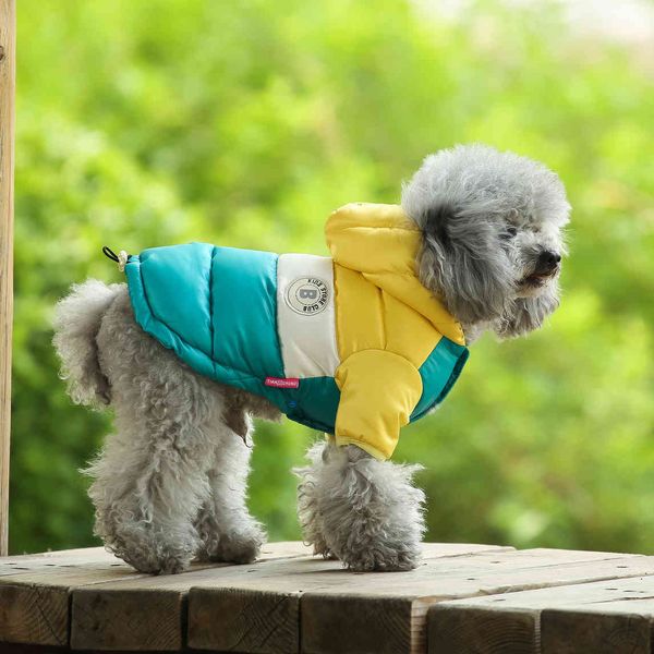 day pet dog down cotton vt teddy bomei warm wind two legged cloth cat winter
day pet dog down cotton vt teddy bomei warm wind two legged cloth cat winter