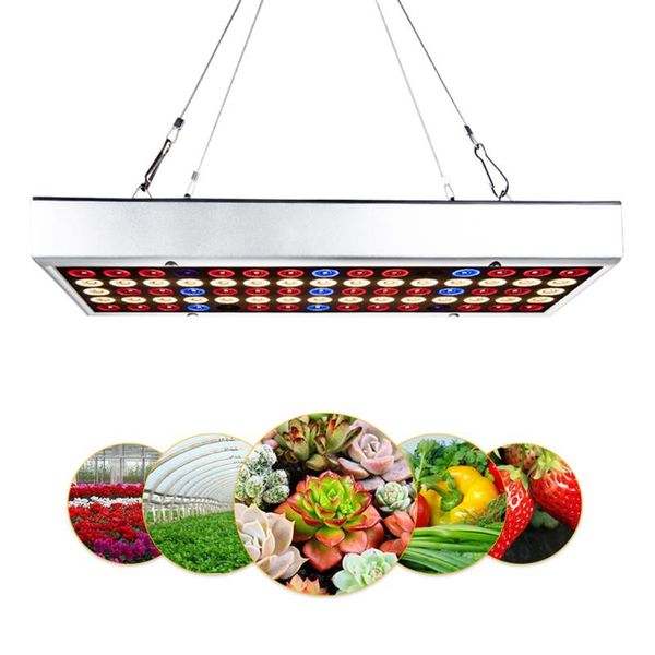 grow lights led light 25w 45w full spectrum lamp greenhouses indoor phyto two connectable switch control tent plant floodlight
grow lights led light 25w 45w full spectrum lamp greenhouses indoor phyto two connectable switch control tent plant floodlight