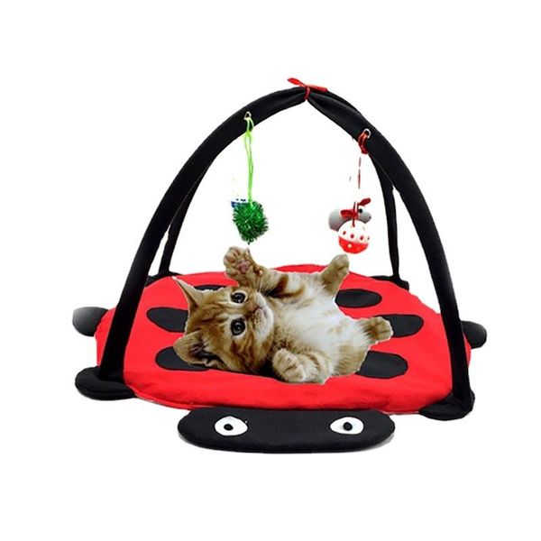 cat toys multifunctional foldable tent funny pets play bed mat blanket house for cats
cat toys multifunctional foldable tent funny pets play bed mat blanket house for cats