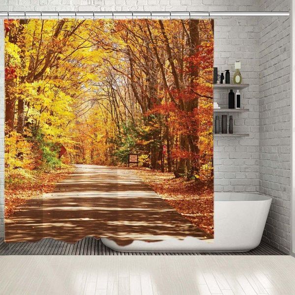 shower curtains curtain autumn scenic view with road in forest tall trees foliage countryside nature orange brown yellow colorful print
shower curtains curtain autumn scenic view with road in forest tall trees foliage countryside nature orange brown yellow colorful print