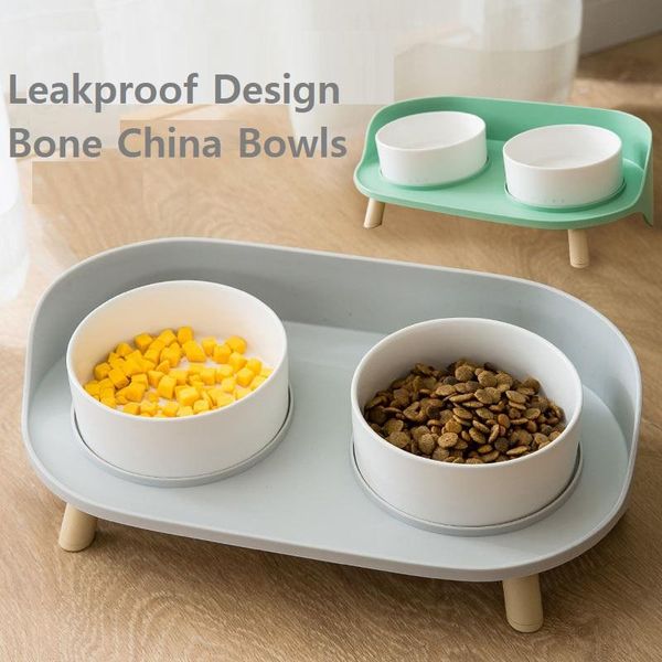 cat bowls & feeders pet bowl small dog water feeder leakproof design double bone china ceramic container
cat bowls & feeders pet bowl small dog water feeder leakproof design double bone china ceramic container