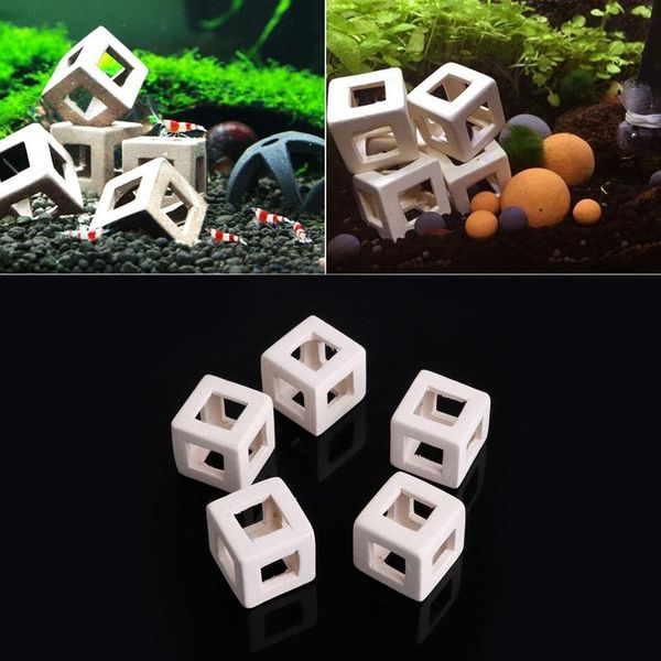 shrimp small fish ceramic home shelter cave breeding hiding for aquarium fish-tank ornament decorations
shrimp small fish ceramic home shelter cave breeding hiding for aquarium fish-tank ornament decorations
