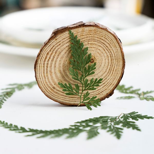 black fern true flower plant specimen teaching diy glue dropping mobile phone shell uv patch decal manual jewelry material festival gift des
black fern true flower plant specimen teaching diy glue dropping mobile phone shell uv patch decal manual jewelry material festival gift des