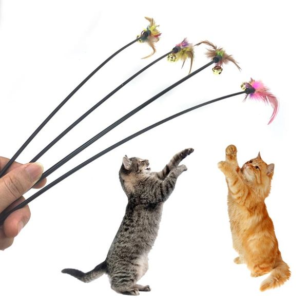 cat toys fun kitten for cats colorful feather grappinge kattenstok interactive toy stick with bell teaser supplies
cat toys fun kitten for cats colorful feather grappinge kattenstok interactive toy stick with bell teaser supplies