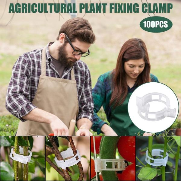 bag clips 100pcs artificial plant clip hami melon plastic vine tether for garter plants agriculture tools
bag clips 100pcs artificial plant clip hami melon plastic vine tether for garter plants agriculture tools