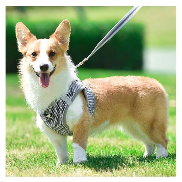 dog collars & leashes breathable vest-style reflective pet chest strap harness puppy rope supplies lightweight leash
dog collars & leashes breathable vest-style reflective pet chest strap harness puppy rope supplies lightweight leash