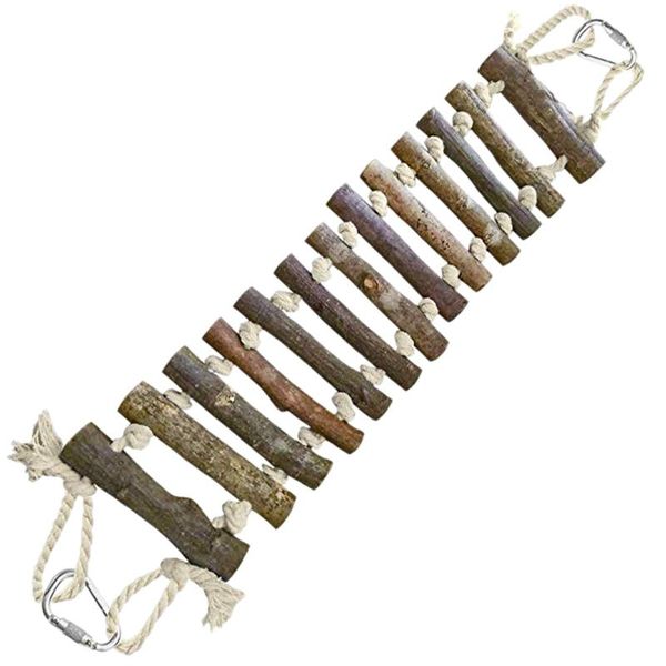 other bird supplies big deal ladder bridge helps birds with balance bright durable and flexible made natural wood edible dye easy inst
other bird supplies big deal ladder bridge helps birds with balance bright durable and flexible made natural wood edible dye easy inst