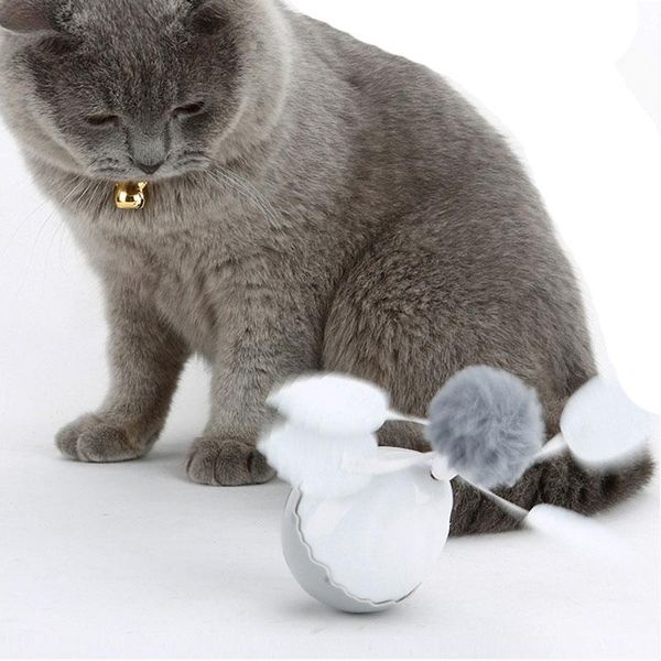 cat toys pet dog puzzle electric tumbler rotation ball abs material 2 detachable heads lxy9
cat toys pet dog puzzle electric tumbler rotation ball abs material 2 detachable heads lxy9