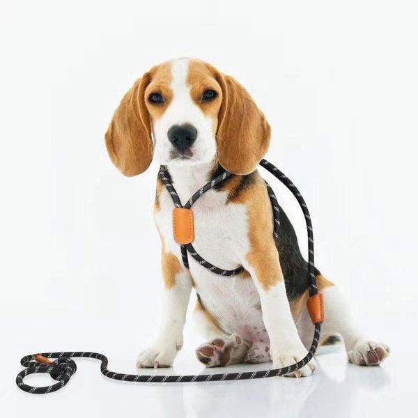 nylon pet dog harness no pull adjustable dog leash vest classic running leash strap belt for small and medium dogs harness
nylon pet dog harness no pull adjustable dog leash vest classic running leash strap belt for small and medium dogs harness