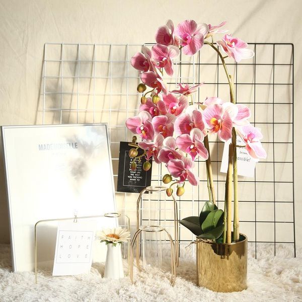 decorative flowers & wreaths 1pcs phalaenopsis artificial orchid flower wedding decoration plant for home el office
decorative flowers & wreaths 1pcs phalaenopsis artificial orchid flower wedding decoration plant for home el office