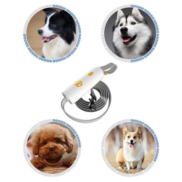 dog leash small and medium-sized dog leash with lock easy to open and lock
dog leash small and medium-sized dog leash with lock easy to open and lock