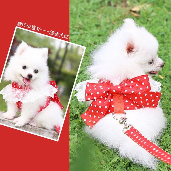 dog collars & leashes pet dogs, cat supplies, clothes, leash, bow, chest strap, and walking, super sweet cute series
dog collars & leashes pet dogs, cat supplies, clothes, leash, bow, chest strap, and walking, super sweet cute series
